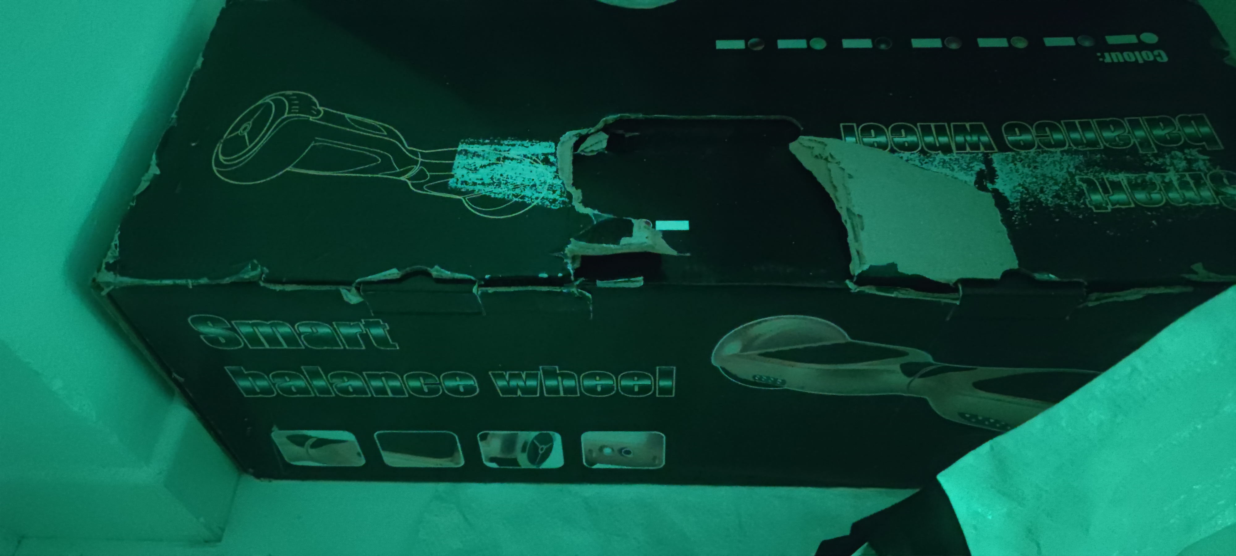 Hoverboard 300 Toulon (83)