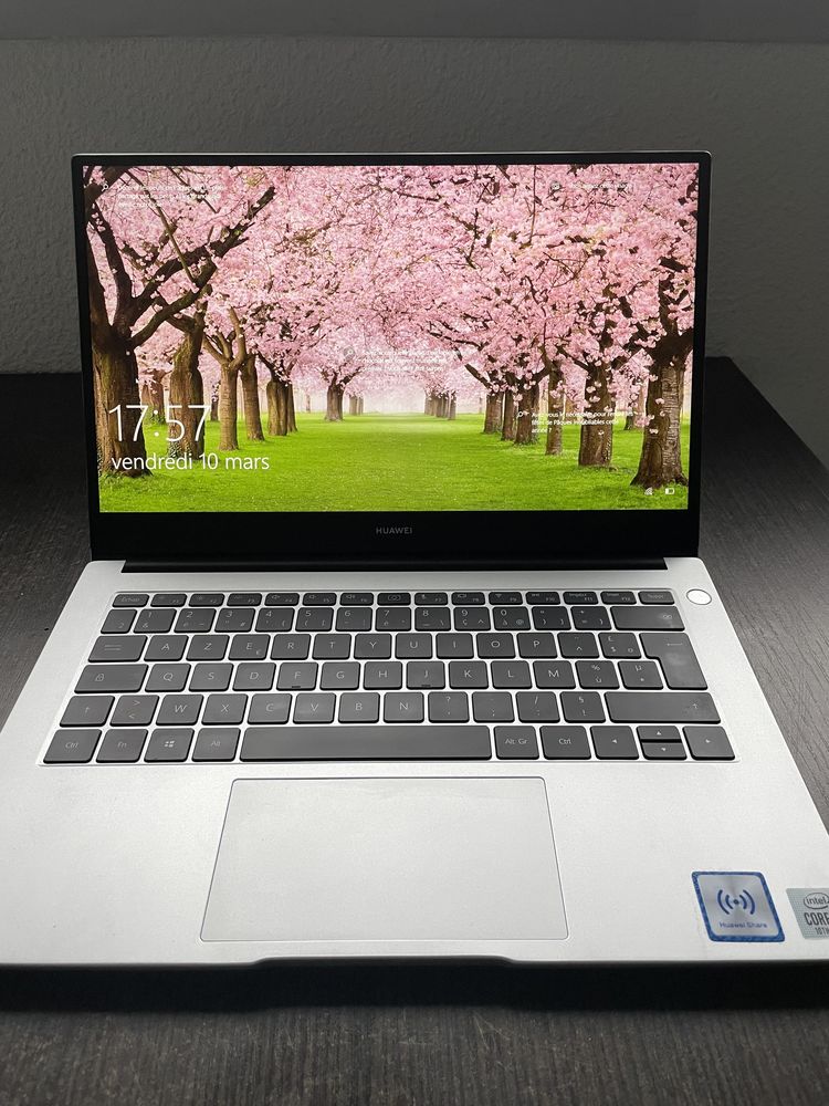 Huawei Matebook D14 i7 16Go RAM 700 Nantes (44)