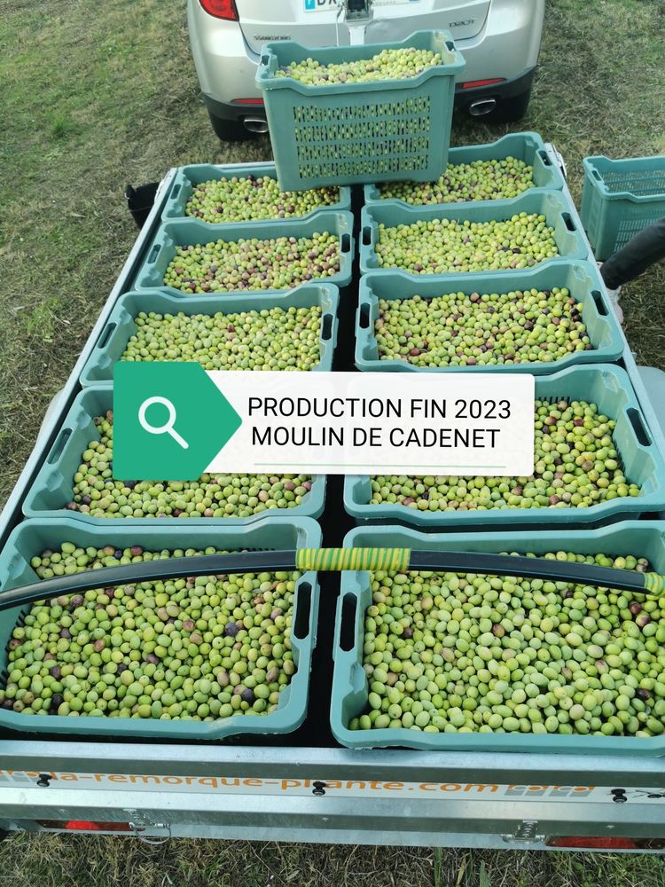 Huile d'olive fruit� vert bio du Vaucluse 16 Saint-Savournin (13)