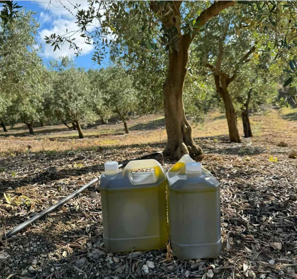 Huile d'olive du Portugal 35 Villevaud� (77)