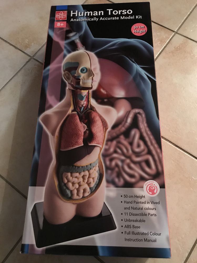 human torso 50 cm neuf 100 Bruy�res-sur-Oise (95)