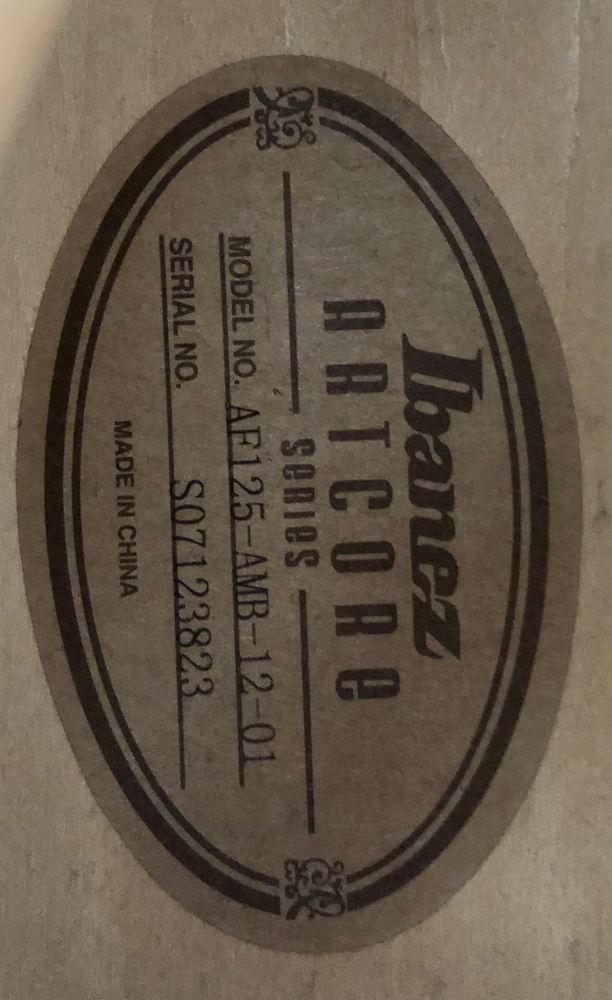 Ibanez custom am125 800 Marseille 2 (13)