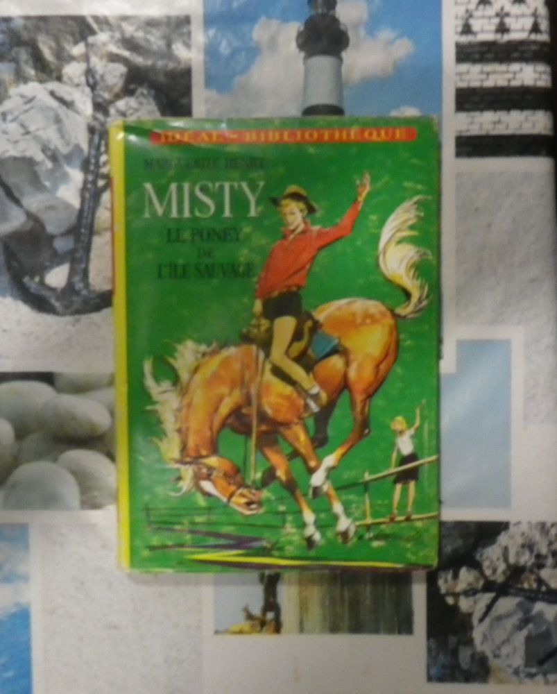 IDEAL BIBLIOTHEQUE MISTY LE PONEY DE L'ILE SAUVAGE 10 Bubry (56)