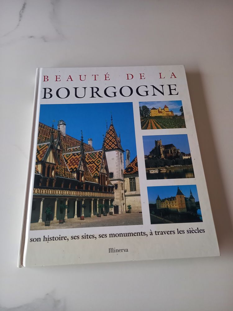 Id�e de cadeau pour No�l : Livre  Beaut� de la Bourgogne  8 Saint-Pierre-l�s-Nemours (77)