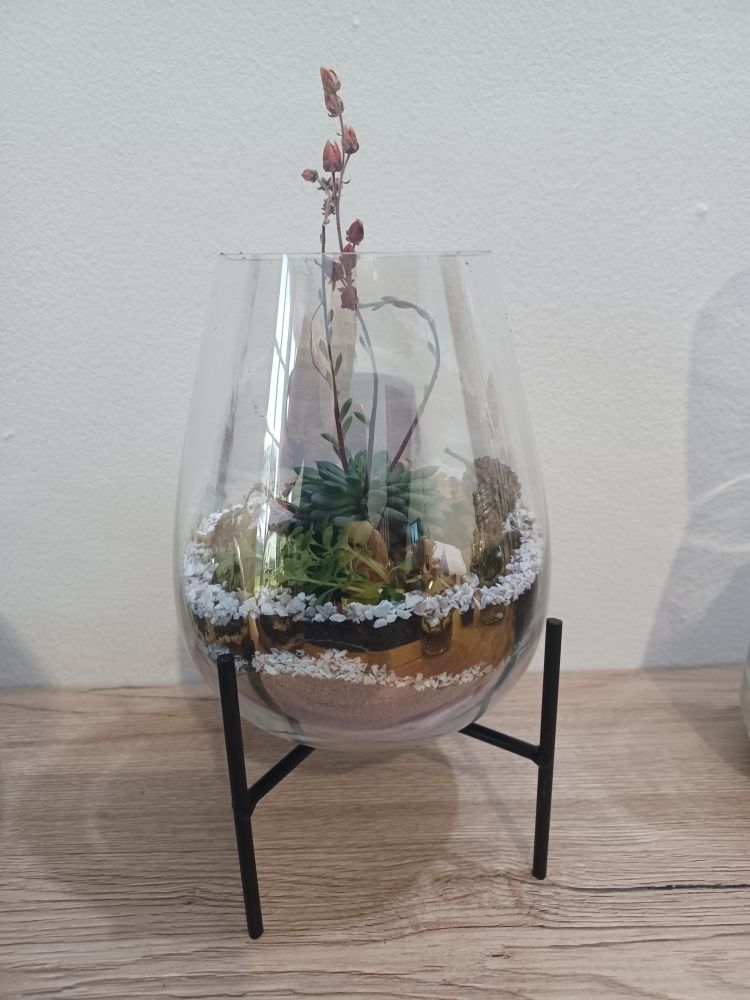 Id�es cadeaux Terrariums Plantes 10 Saint-Pierre (97)