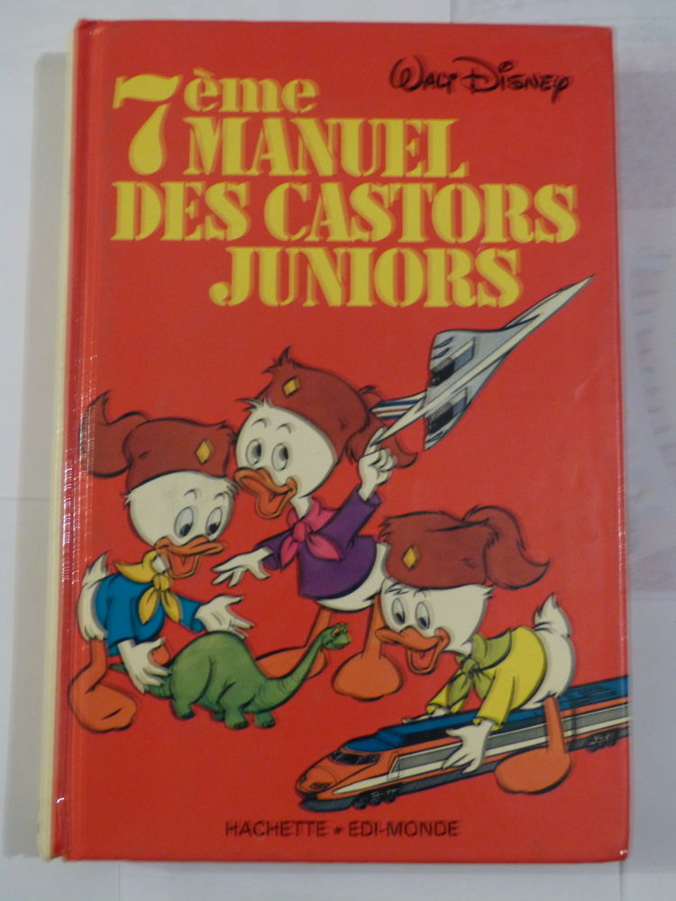 7 IEME MANUEL DES CASTORS JUNIORS 8 Brest (29)