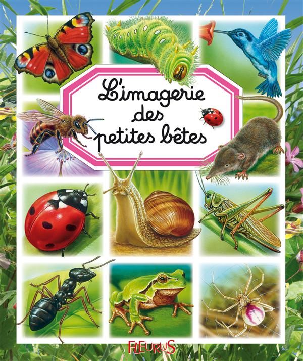 L'imagerie des petites b�tes 3 Cabestany (66)