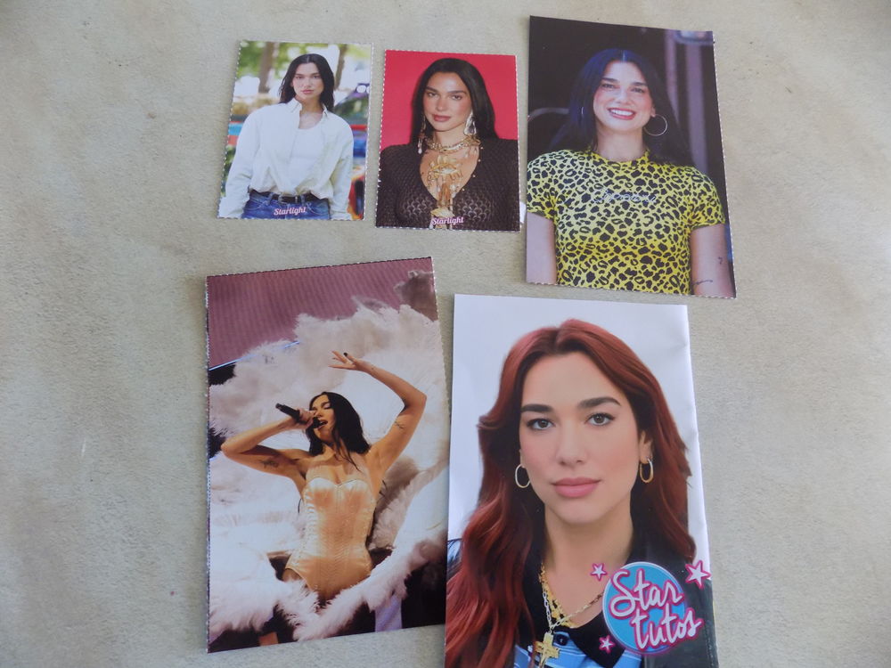 images Dua Lipa 1 La Motte-d'Aveillans (38)