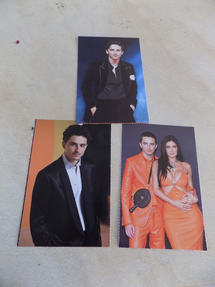 Images Timoth�e Chalamet 1 La Motte-d'Aveillans (38)