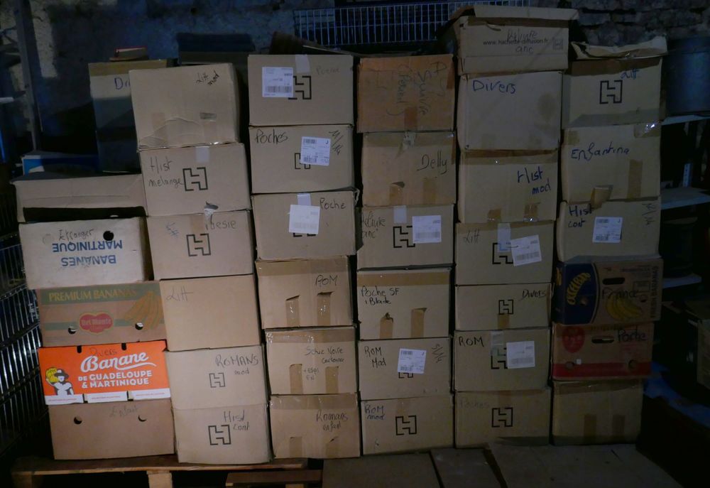 Important lot de livres d'occasions 950 Mosnac (16)