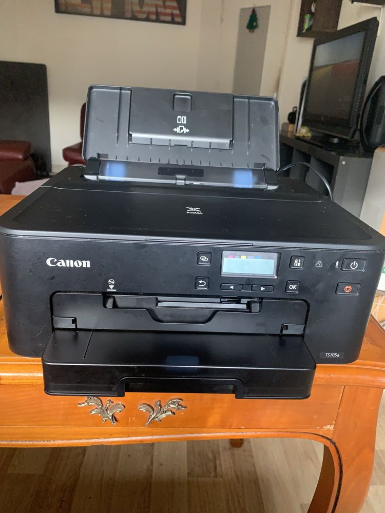 Imprimante canon ts705a 30 Vienne (38)