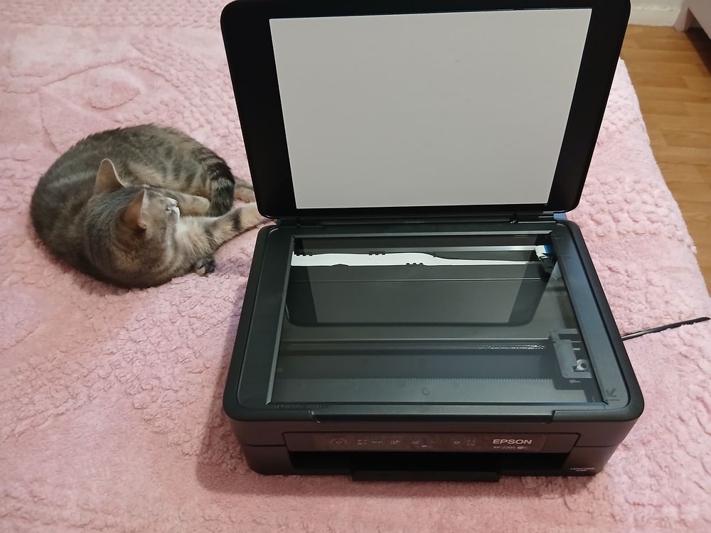 Imprimante epson 20 Laval (53)