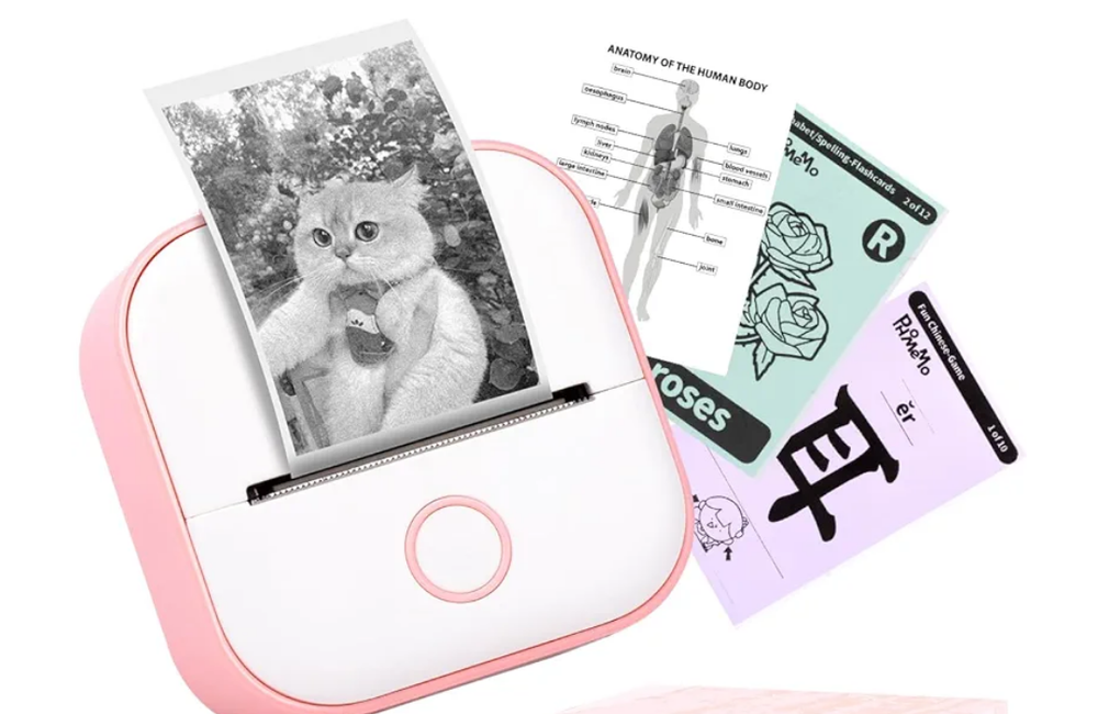 Imprimante thermique phomemo 15 Ch�teau-d'Olonne (85)