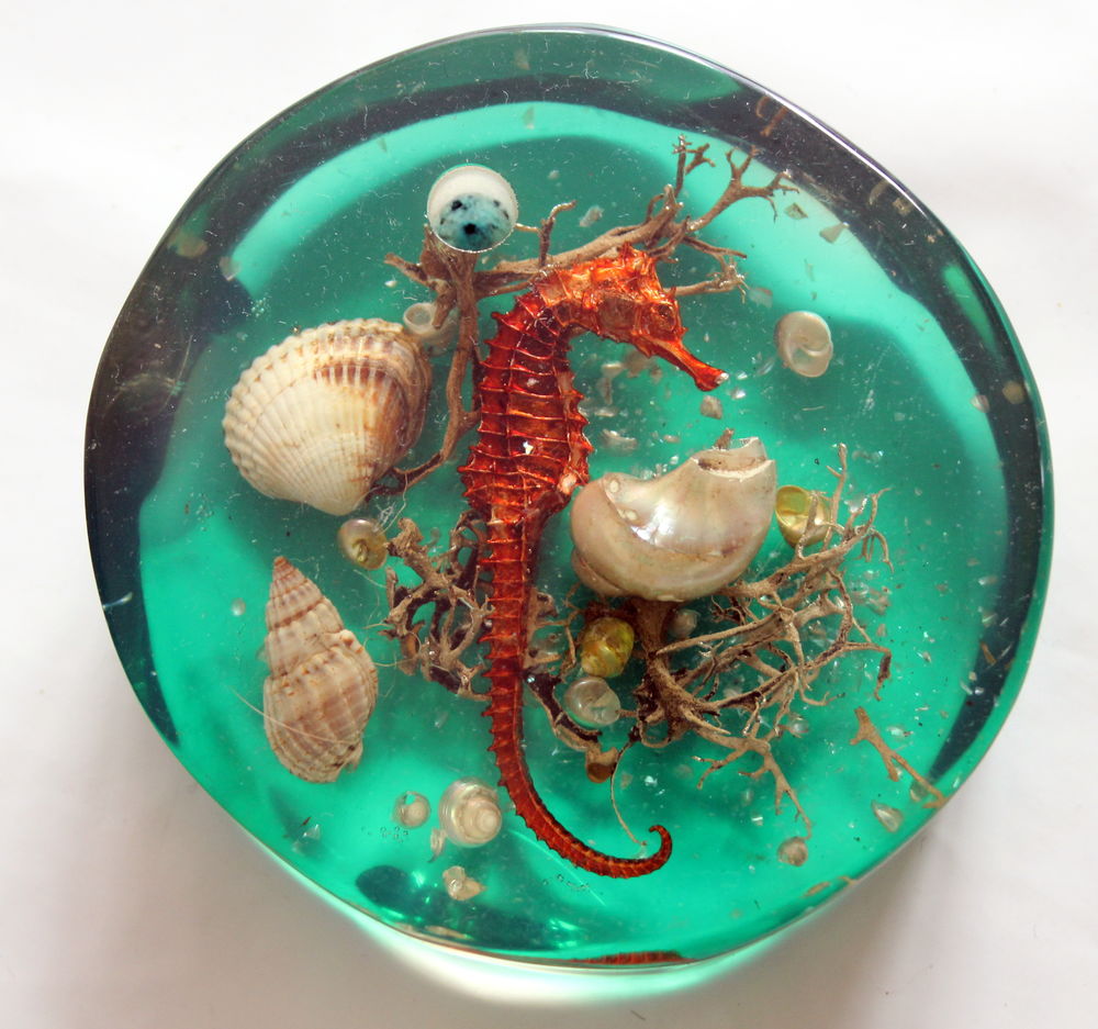 Inclusion 1960 hippocampe coquillages porte stylo 23 Issy-les-Moulineaux (92)