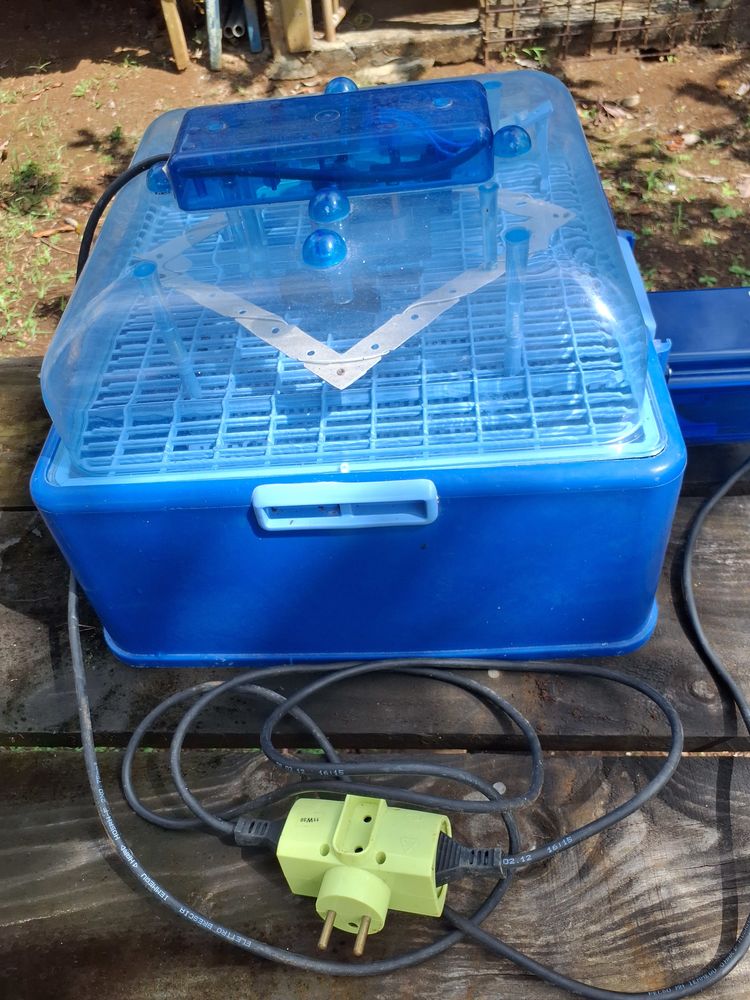 Incubateur 90 Baie-Mahault (97)