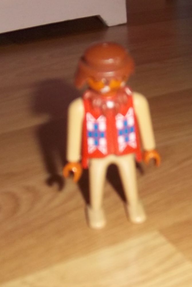 Indien playmobil 2 Colombier-Fontaine (25)