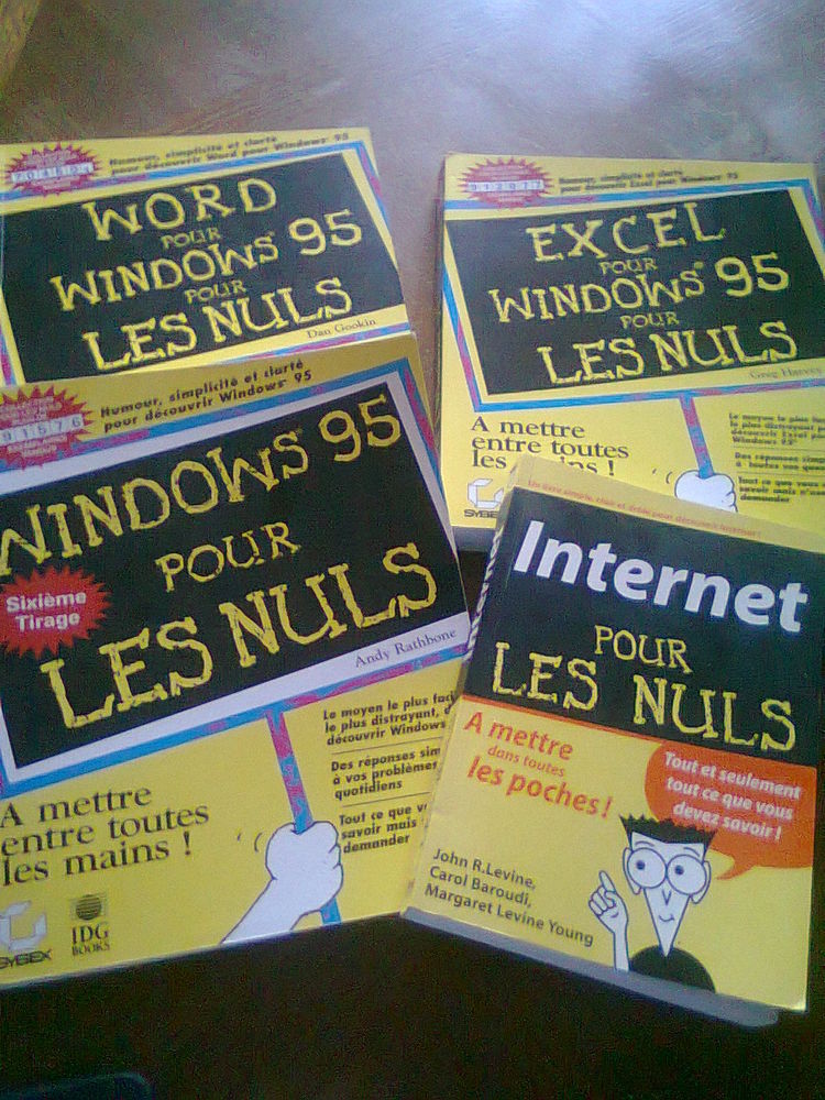 informatique: 4 livres pour les  nuls  15 Pau (64)