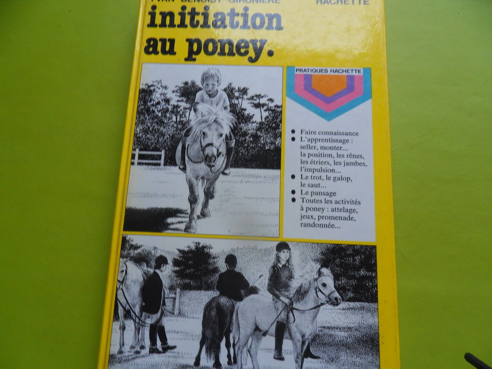Initiation au PONEY - Hachette 20 Belleu (02)