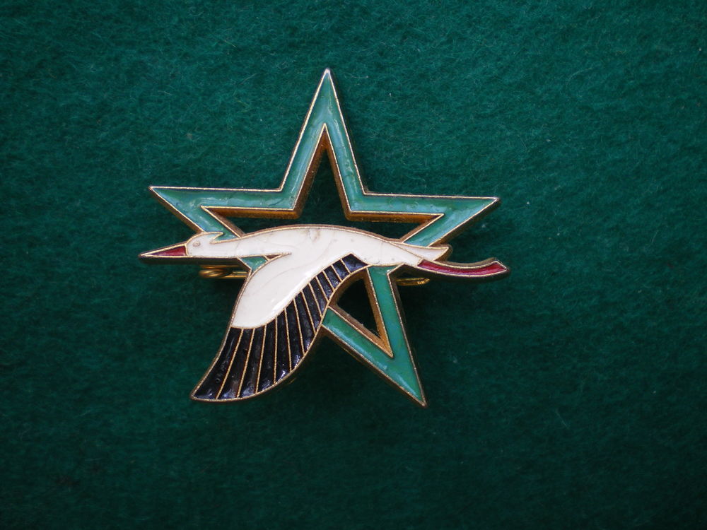 Insigne de l'Air - Base Ecole 705 Tours. 10 Caen (14)