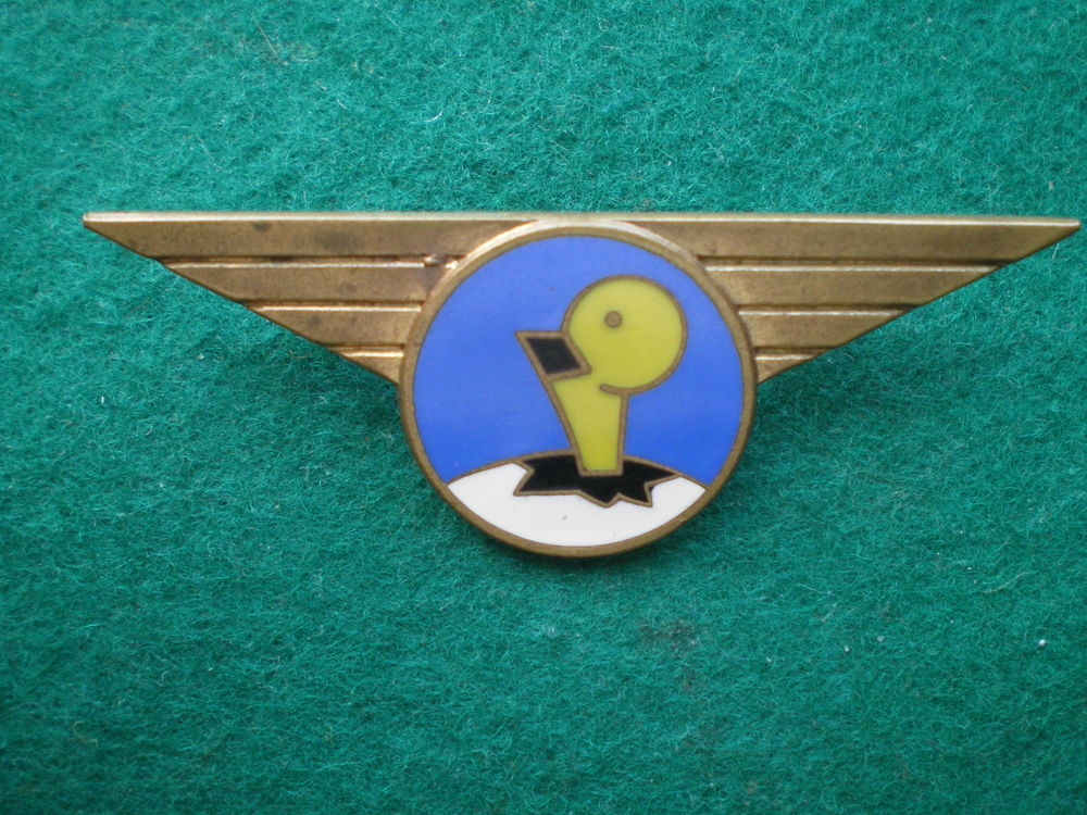 Insigne de l'Air - Ecole des Pupilles de l'Air Grenoble. 18 Caen (14)