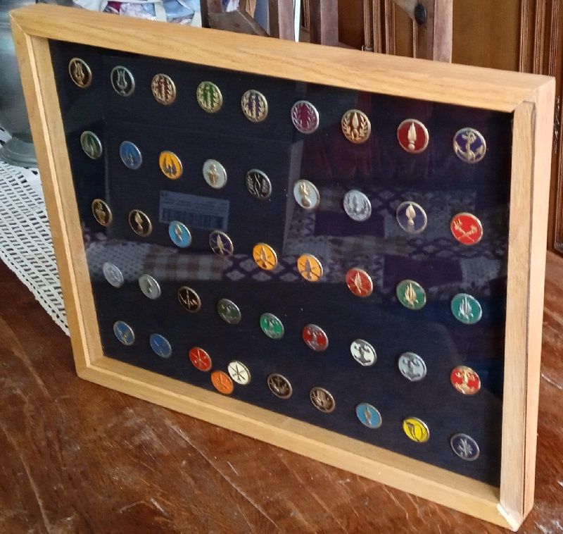 Insigne militaire 200 �chassi�res (03)