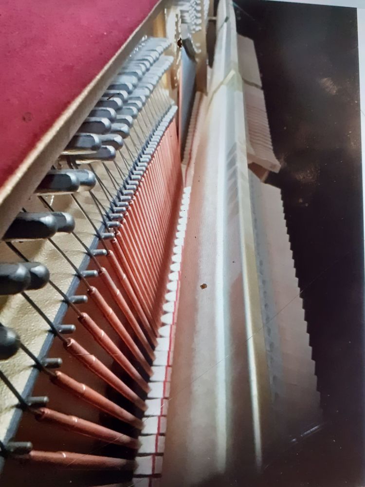 Instrument musique 3900 Romainville (93)