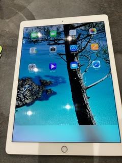 ipad pro 12 9 cellulaire 500 Forcalqueiret (83)