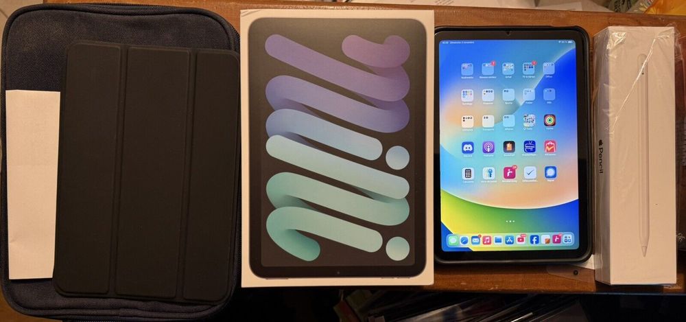 iPad mini 6 Wi?Fi 256 Go Gris sid�ral + Coques + Housse + Ap 550 Bordeaux (33)