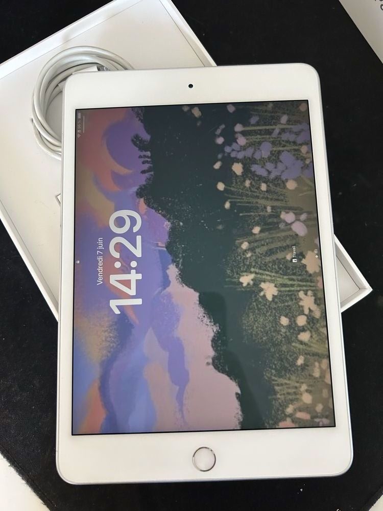 Ipad Mini 5 250 Nancy (54)