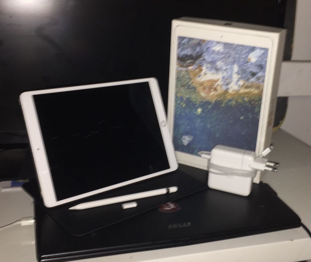 iPad Pro 10.5 pouce 450 Bordeaux (33)