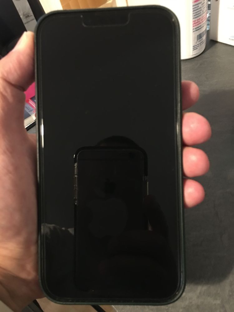 Iphone 13 PRO MAX neuf achet� le 17/08/2022 � l'AppStore 1050 Nantes (44)