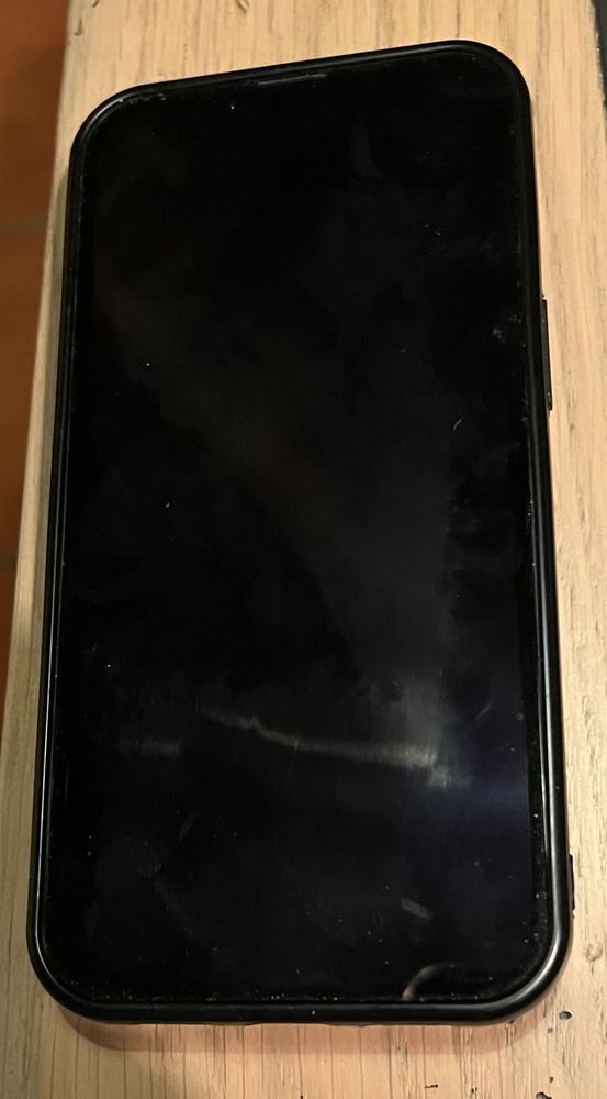 iPhone 13 noir 250 Damery (51)