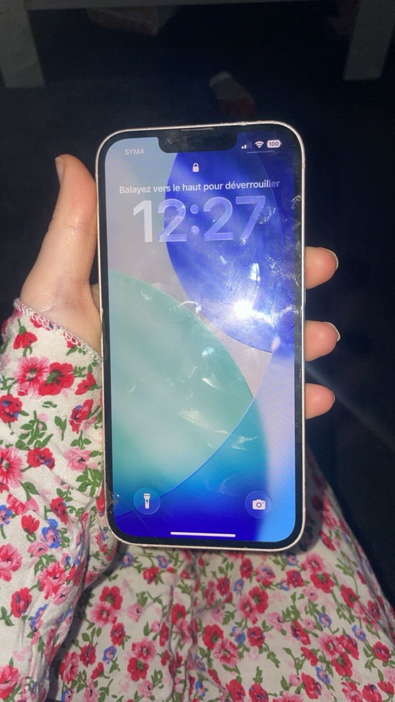 iPhone 13 rose 180 Roubaix (59)