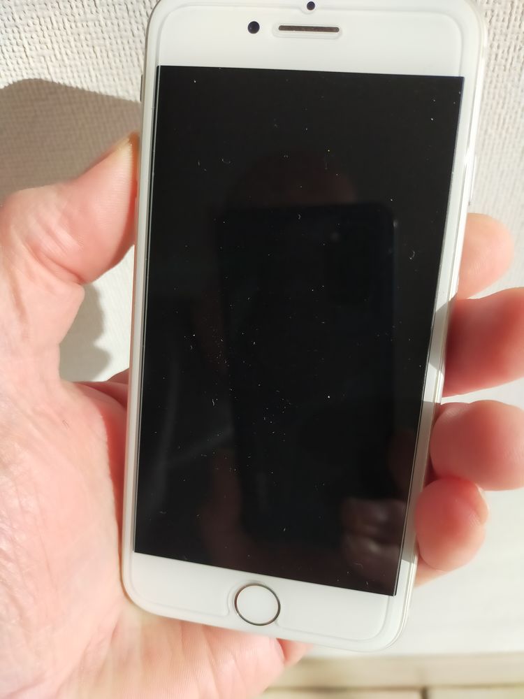 iPhone 8 210 Camon (80)