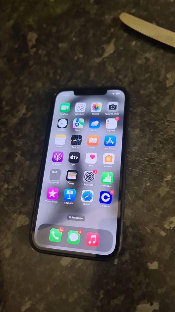 Iphone 12 pro max 600 Le Moule (97)