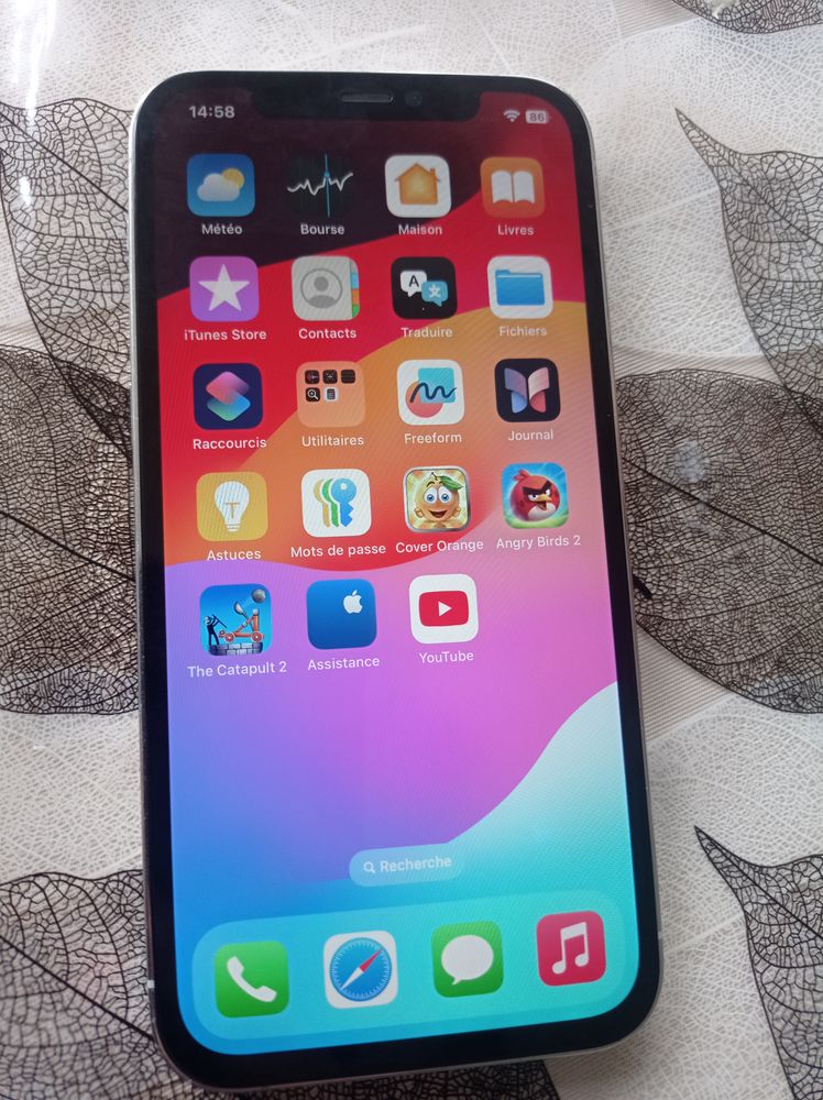 Iphone 12 pro 250 Grandvilliers (60)