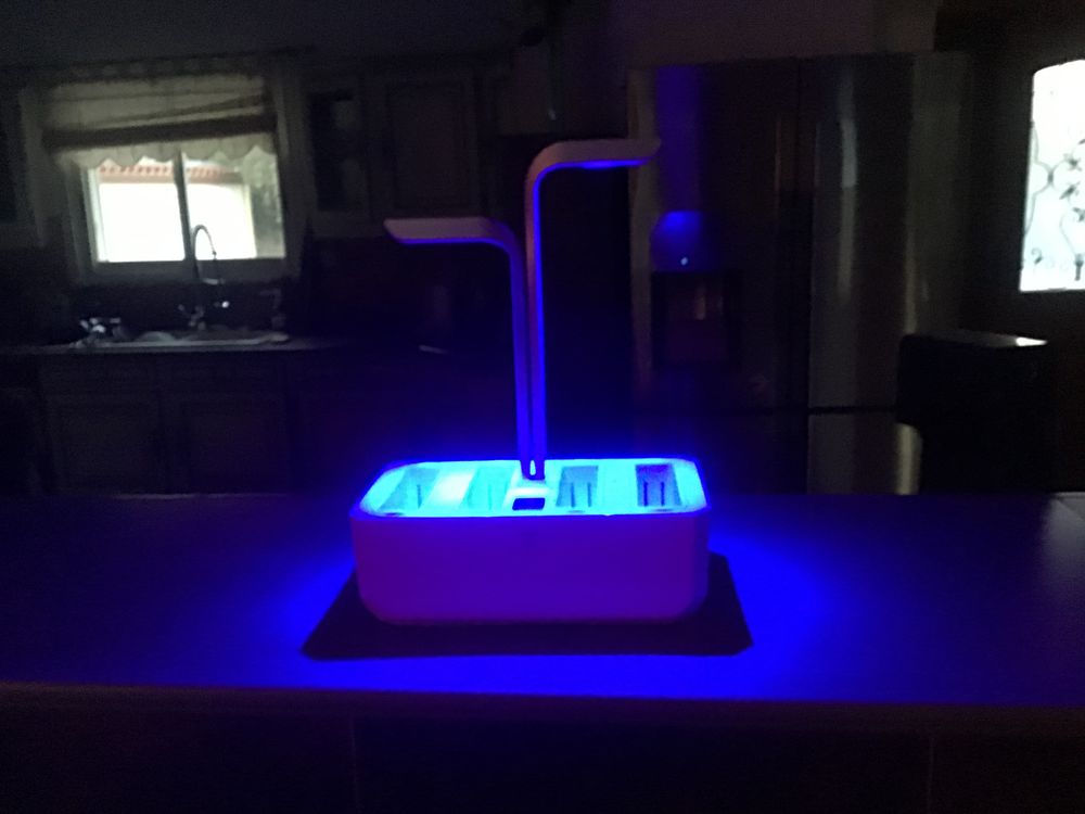 Jardin connect� 85 Marguerittes (30)