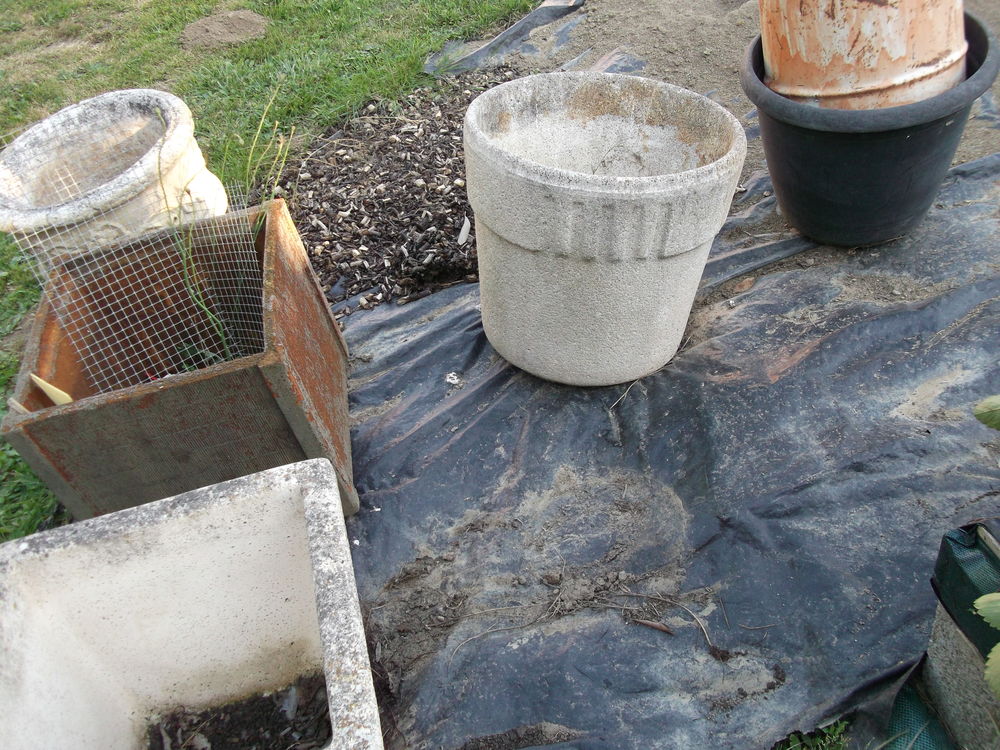 Sitemapcdatahttpsww4cellcare1comjardiniere En Pierre Occasion