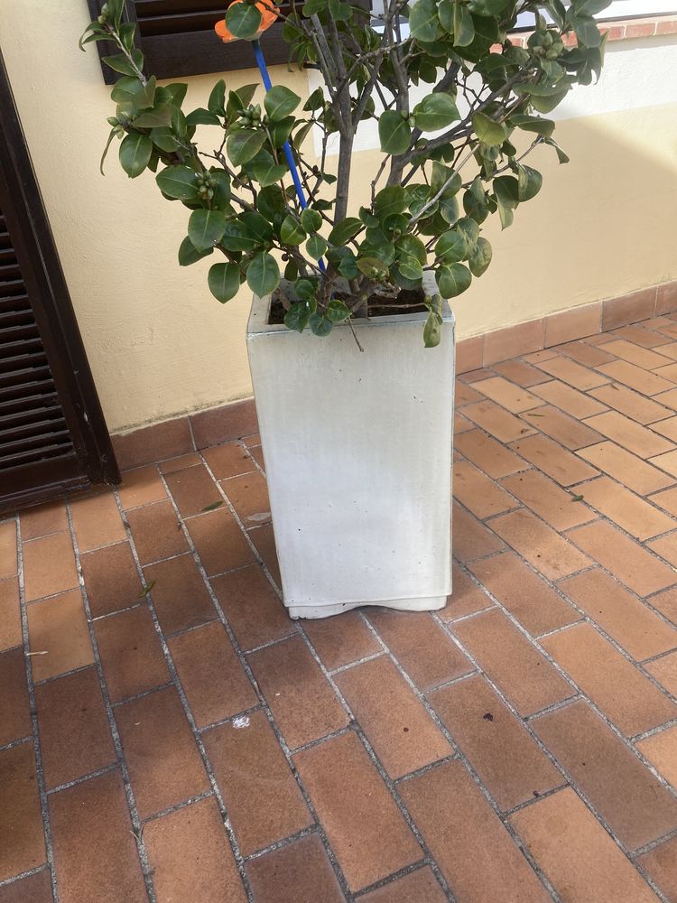 jardini�res en c�ramique 200 Nice (06)