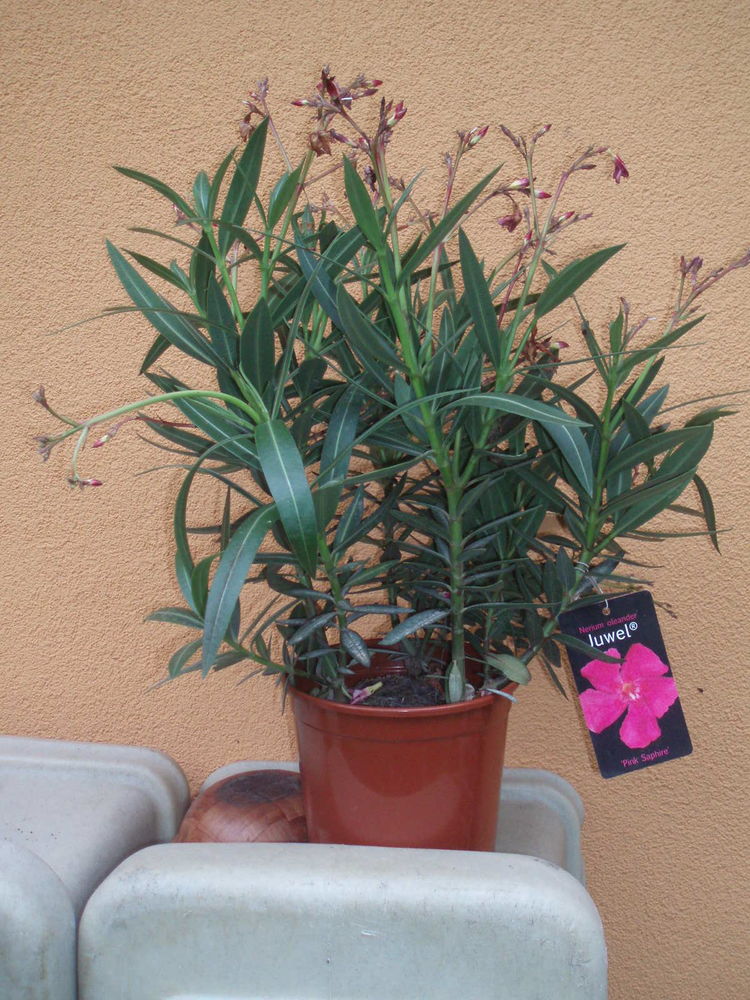 jardini�res  en pvc 12 Danjoutin (90)