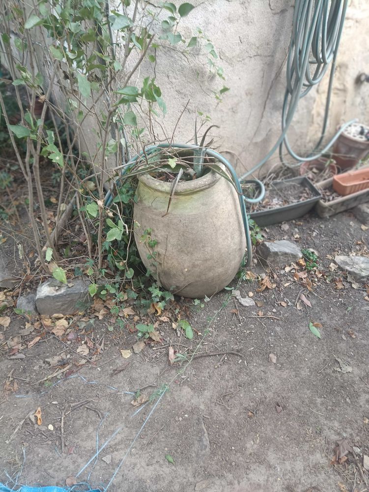 jarre XVIII �me col vernisse. 500 litres 12500 Marguerittes (30)