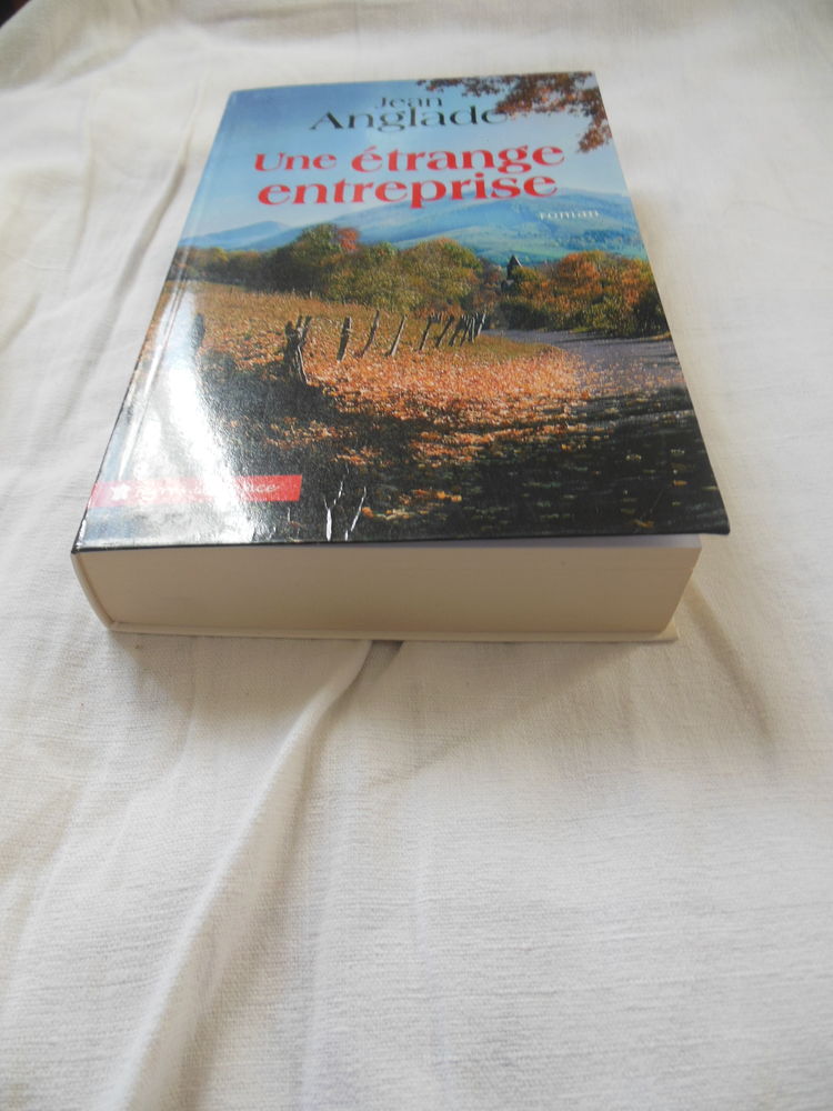 Jean ANGLADE ? Une �trange entreprise  - roman 4 Vouzeron (18)