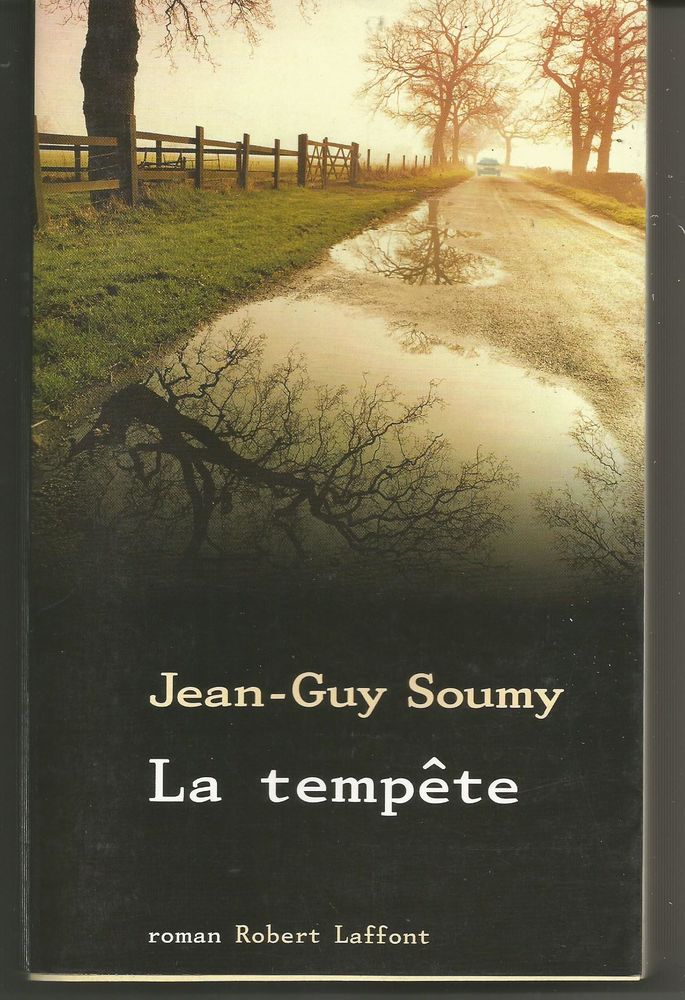 Jean Guy SOUMY La temp�te 4 Montauban (82)