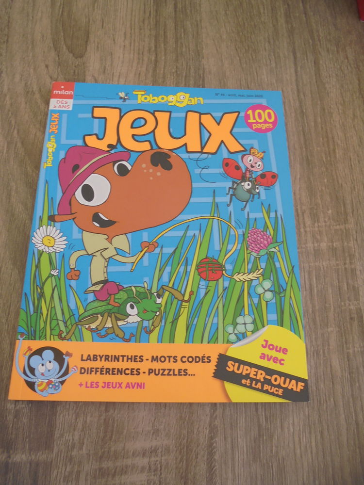 Jeux Toboggan (112) 2 Tours (37)