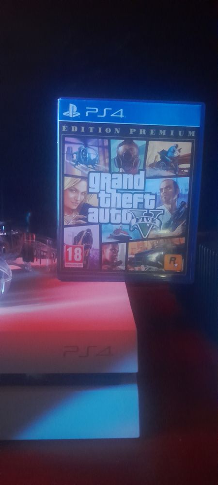 jeux vid�o pour PS4 GTA 5 30 Tendron (18)