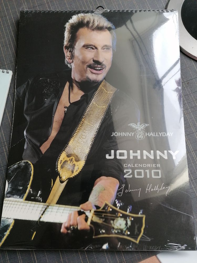 Johnny Hallyday 20 Cognin (73)