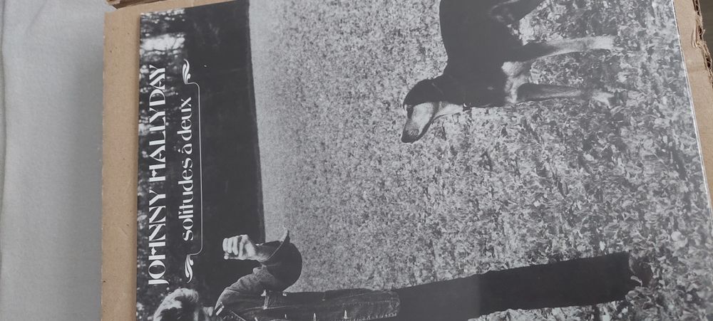 Johnny hallyday 10 Gien (45)