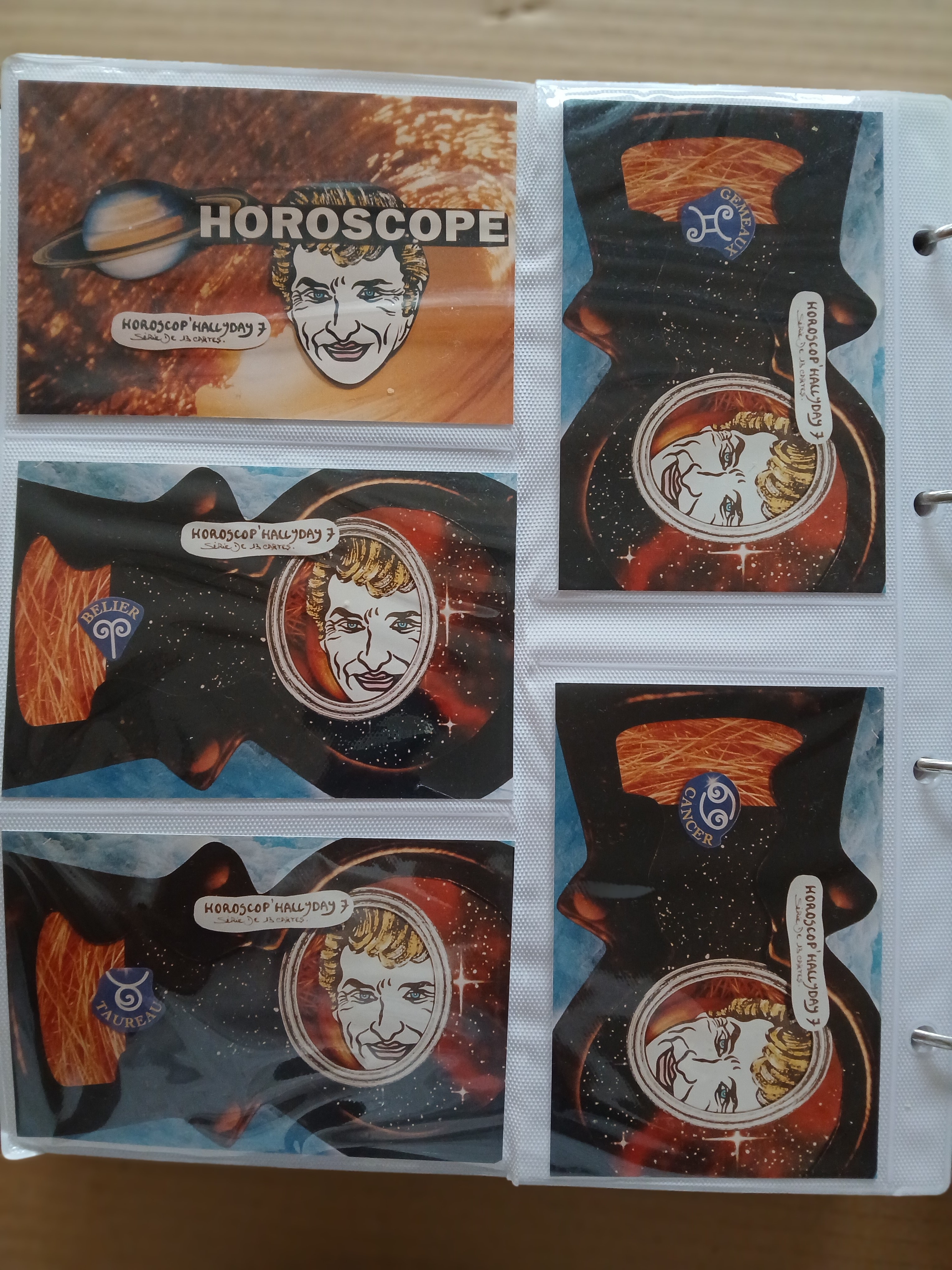 JOHNNY HALLYDAY 20 Toulouse (31)