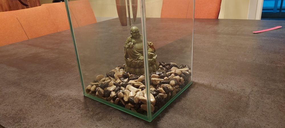 Joli aquarium 30 Albi (81)