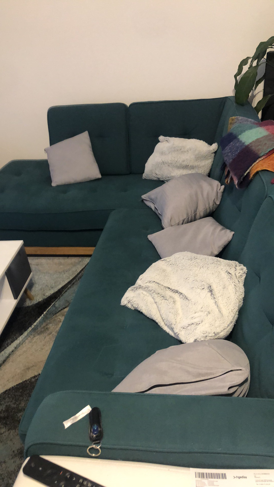 JOLI CANAPE D ANGLE DE 2024
580 Estensan (65)